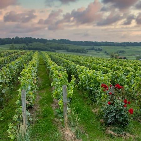 Maison De Champagne F.Barbier ! Avize Zewnętrze zdjęcie