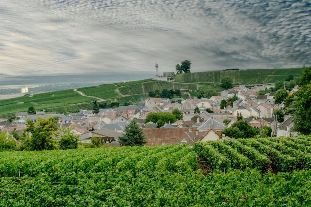 Maison De Champagne F.Barbier ! Avize Zewnętrze zdjęcie